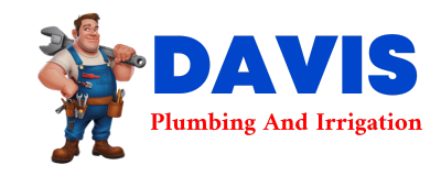 Trusted plumber in VILLA GROVE